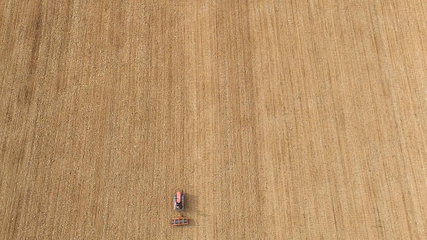 Lavori agricoli nella campagna toscana del Valdarno