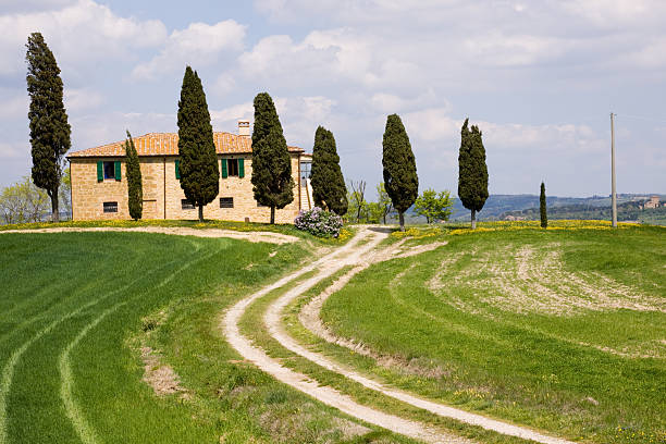 Paesaggio rurale della pianura toscana