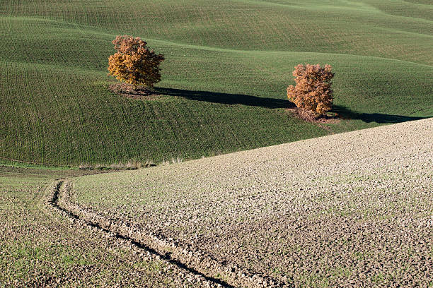 Campagna del Valdarno inferiore intorno a Santa Croce sull'Arno